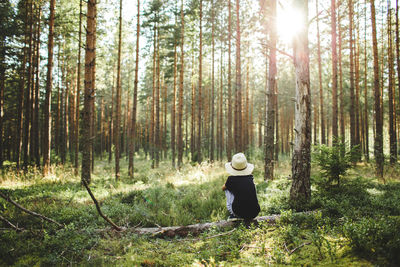 Rear view of boy sitting in forest