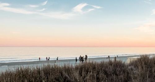 Scenic view of sea at sunset