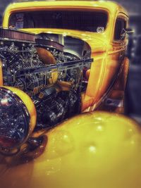 Close-up of yellow flower