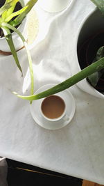 High angle view of tea in cup