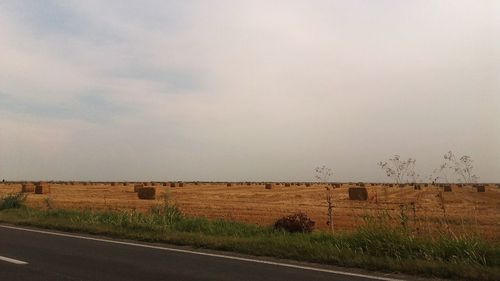 Road by agricultural field against sky