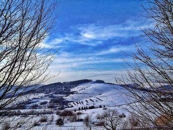 Bare trees on landscape against cloudy sky