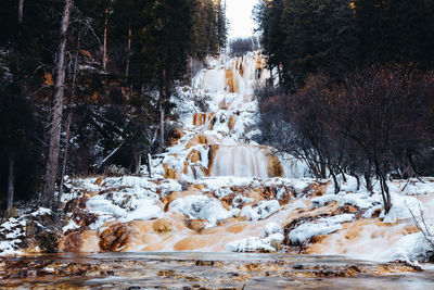 Scenic view of waterfall in forest during winter