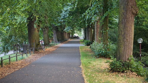 Footpath amidst trees in park