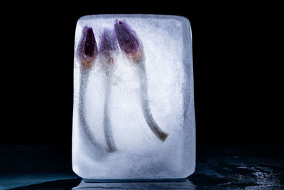 Close-up of ice on table against black background