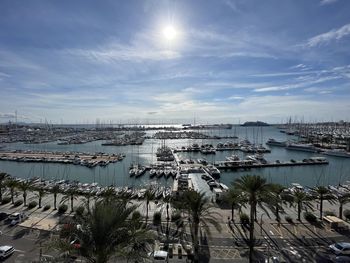 High angle view of marina at harbor