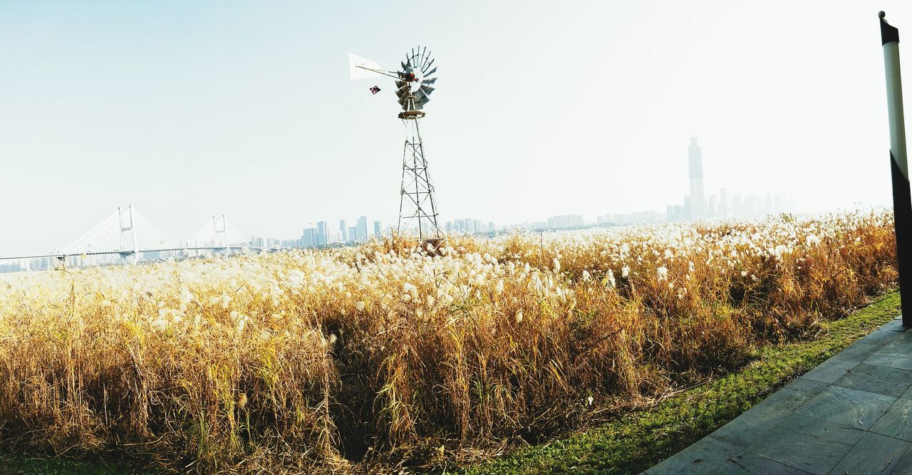 CROPS ON FIELD AGAINST SKY