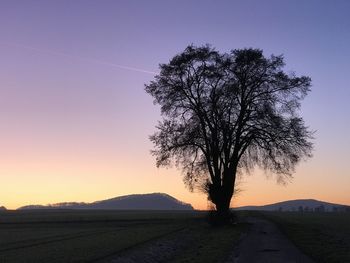 Silhouette tree on field against sky at sunset