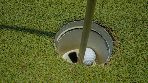 Golf ball on grass