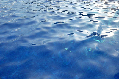 High angle view of swimming pool