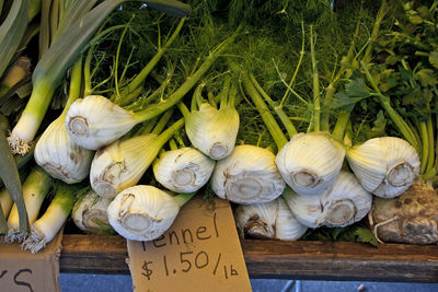 High angle view of fennels for sale at market