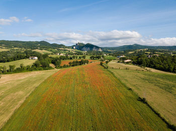 Scenic view of agricultural field against sky