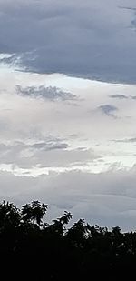 High angle view of silhouette plants against sky