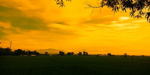Scenic view of silhouette field against orange sky