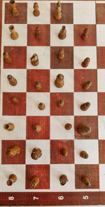 indoor games and sports