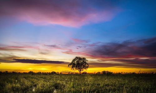 Scenic view of field against sky during sunset