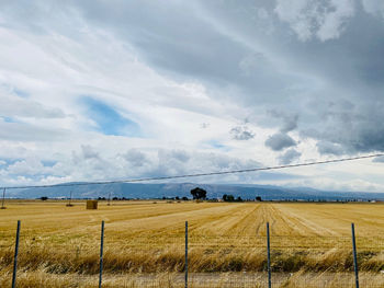 Scenic view of agricultural field against sky