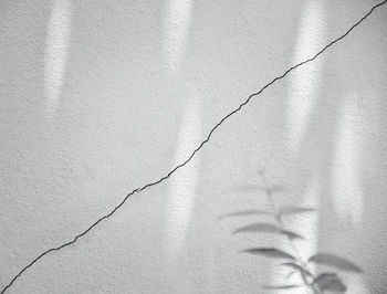 Close-up of cracked wall