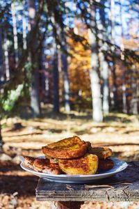 Close-up of food on table against trees in forest