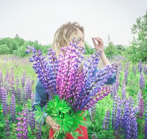 Purple flowers on field