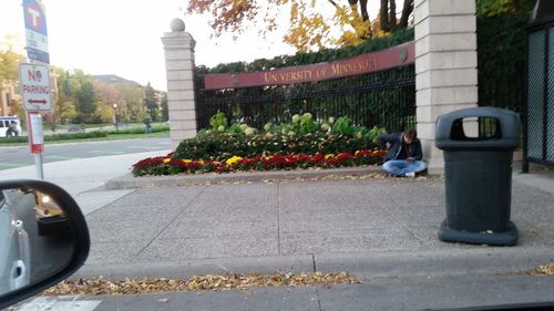 View of flower plants on roadside