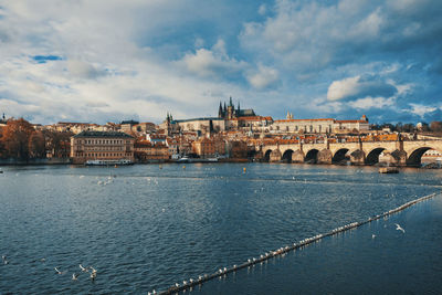 Arch bridge over river against buildings in city