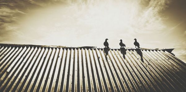 Low angle view of people against sky