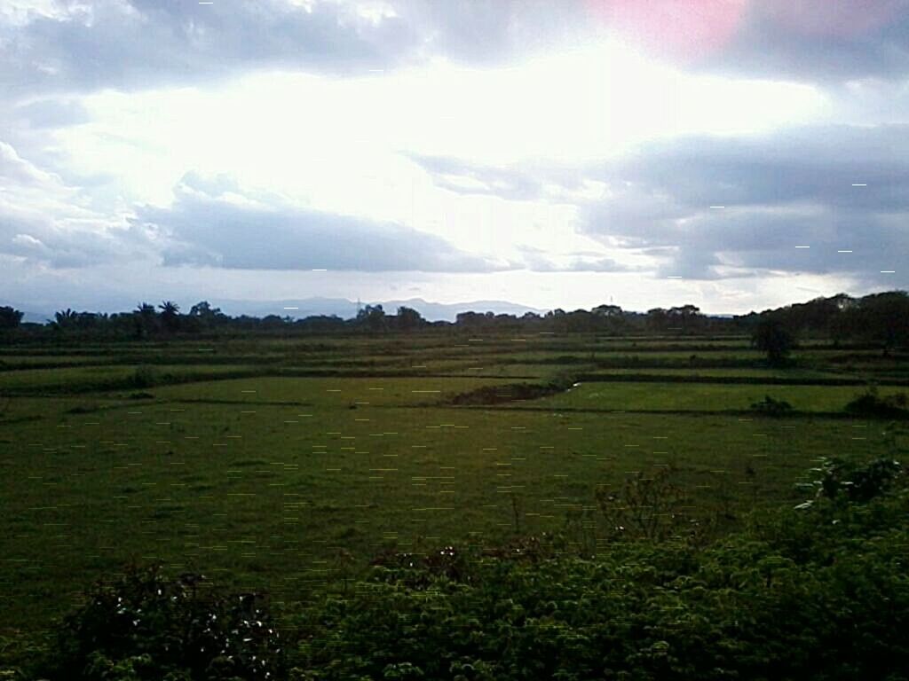 sky, tranquil scene, cloud - sky, tranquility, scenics, landscape, field, grass, beauty in nature, cloudy, nature, rural scene, green color, cloud, growth, idyllic, water, agriculture, grassy, weather