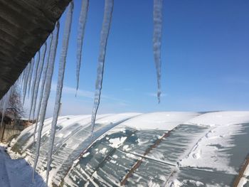 Low angle view of icicles against blue sky