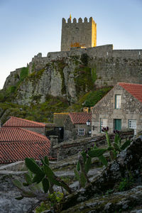 Buildings in town