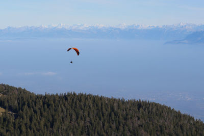 Low angle view of person paragliding against sky