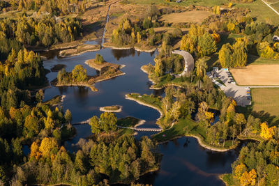 High angle view of trees in lake