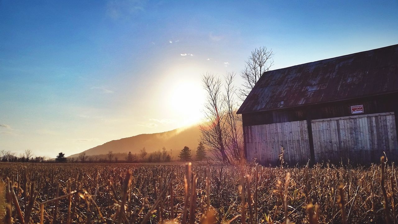 house, field, landscape, sky, sun, sunset, building exterior, plant, nature, built structure, rural scene, sunlight, clear sky, mountain, tranquil scene, tranquility, architecture, sunbeam, beauty in nature, lens flare