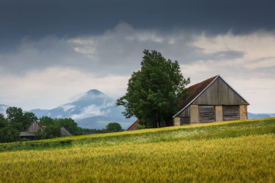 Fields and traditional barns in turiec region, central slovakia.