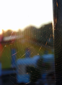 Close-up of wet spider web against sky