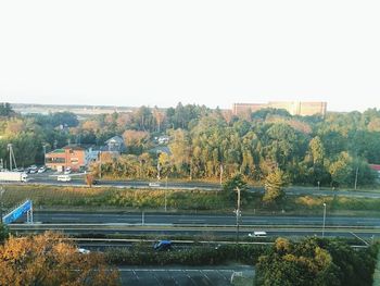 Trees by city against clear sky