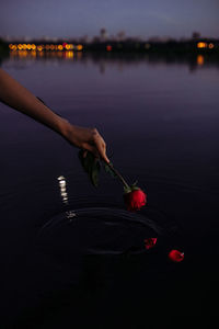 Hand holding red flowers in lake