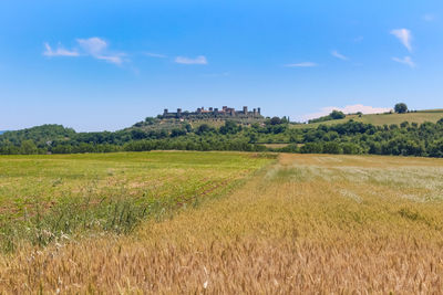 Scenic view of field against sky