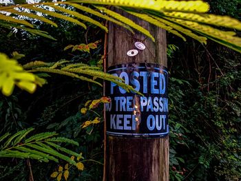 Information sign on tree trunk