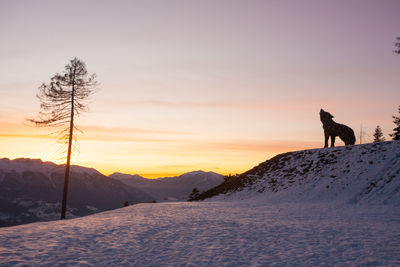 Silhouette people walking on snow covered landscape