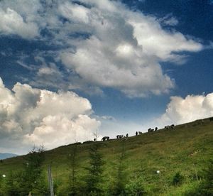 Scenic view of grassy field against cloudy sky