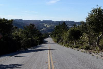 Long open road amidst trees against sky