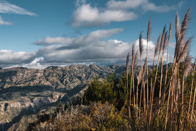 Panoramic view of land and mountains against sky