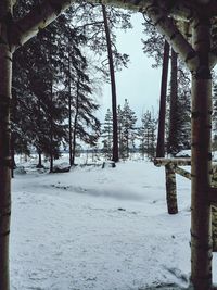 tree
