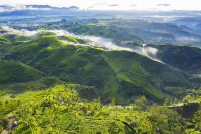 Aerial view of landscape and mountains