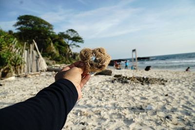 Cropped hand holding dry water plant at beach 