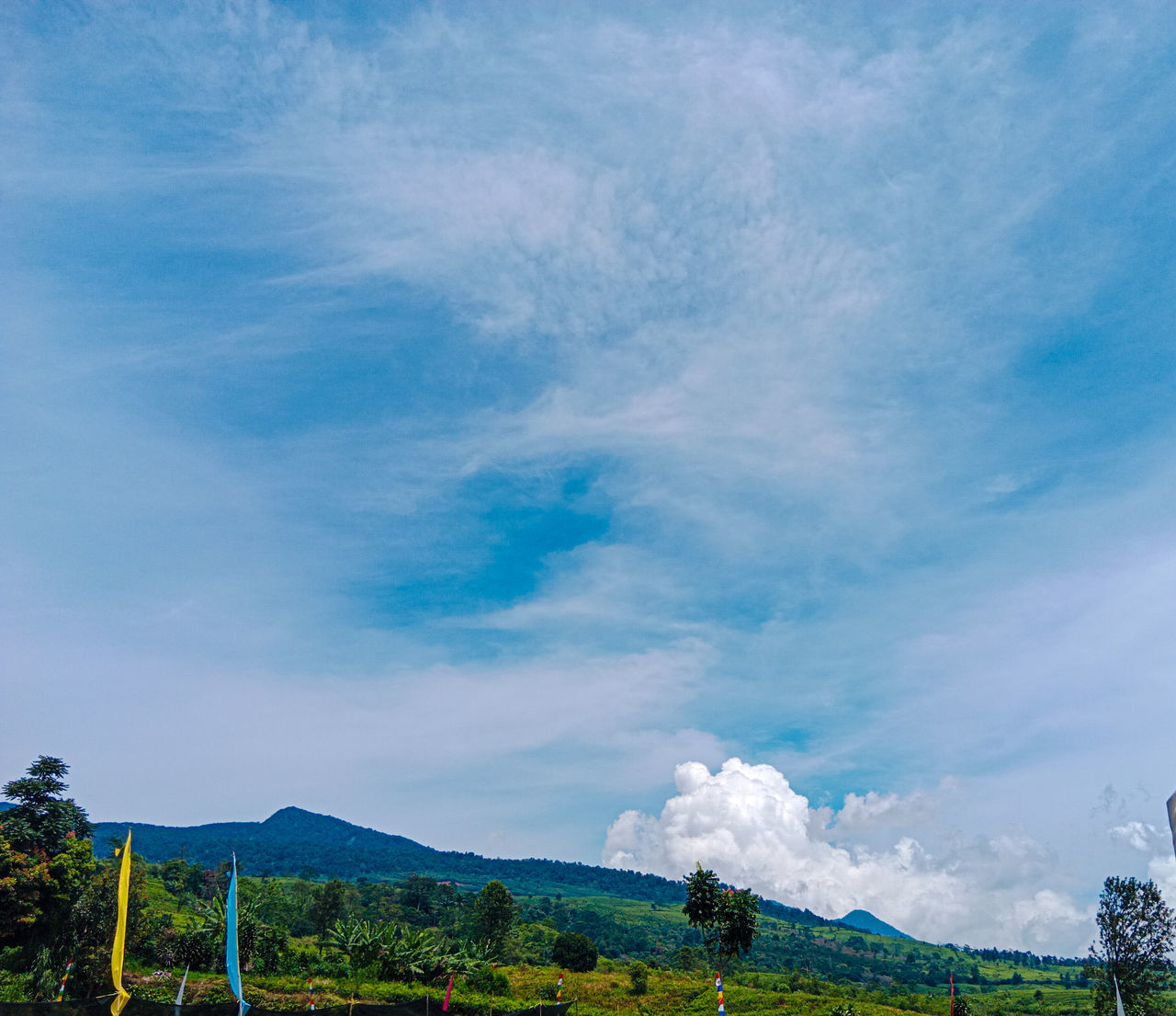 sky, cloud, environment, landscape, mountain, horizon, nature, scenics - nature, beauty in nature, blue, plant, land, mountain range, tree, travel, no people, travel destinations, tranquility, outdoors, grass, tranquil scene, tourism, non-urban scene, rural area, rural scene, day, field, meadow, sunlight, green
