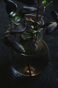 High angle view of drink on table