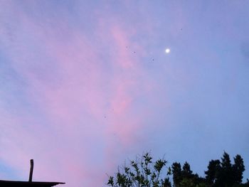 Low angle view of silhouette trees against sky at sunset