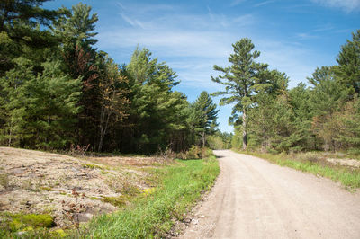 Road amidst trees against sky